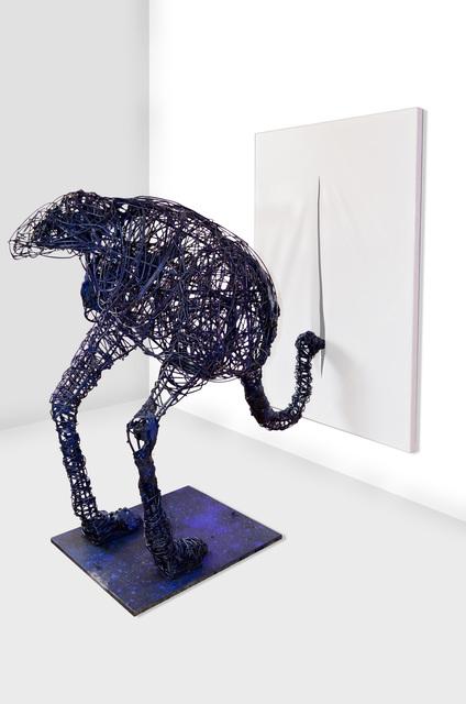 WhatsApp Image 2022-04-29 at 12.59.43