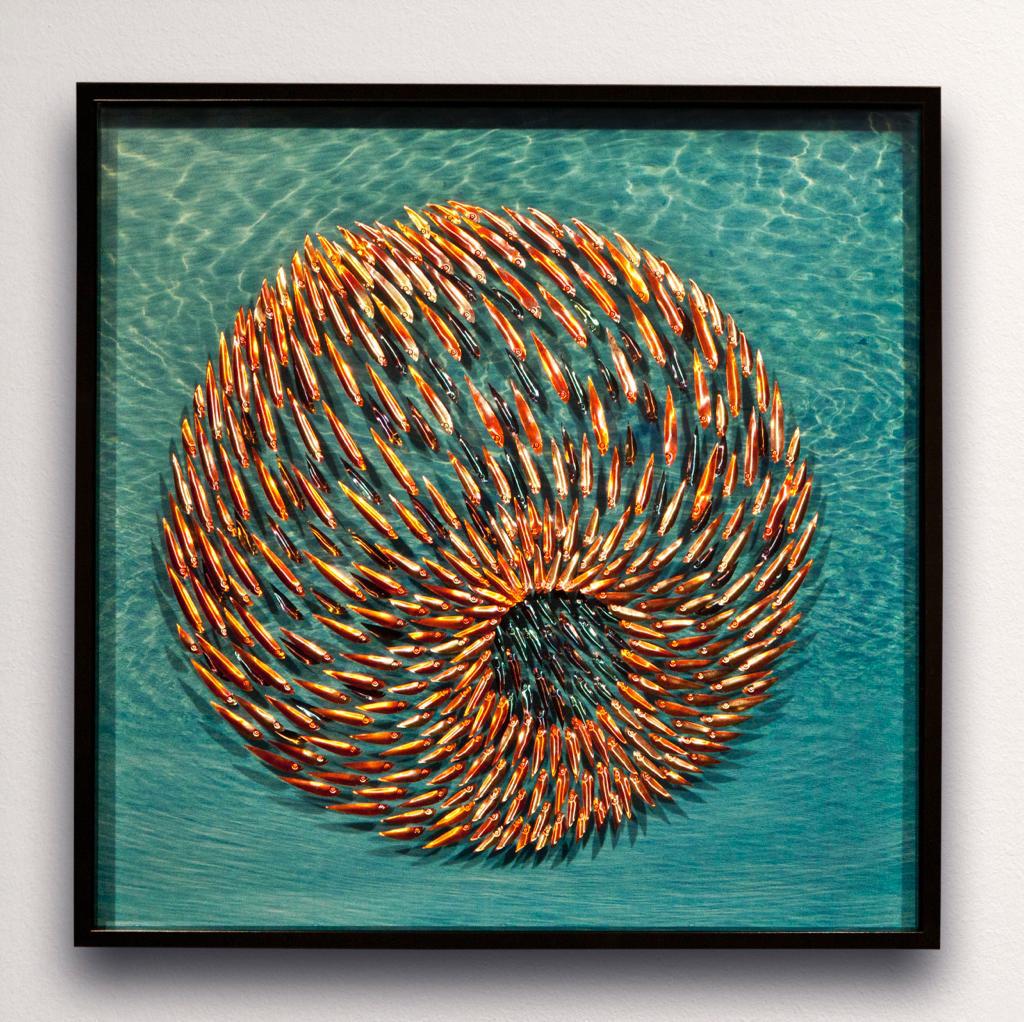 WhatsApp Image 2022-05-10 at 17.22.11